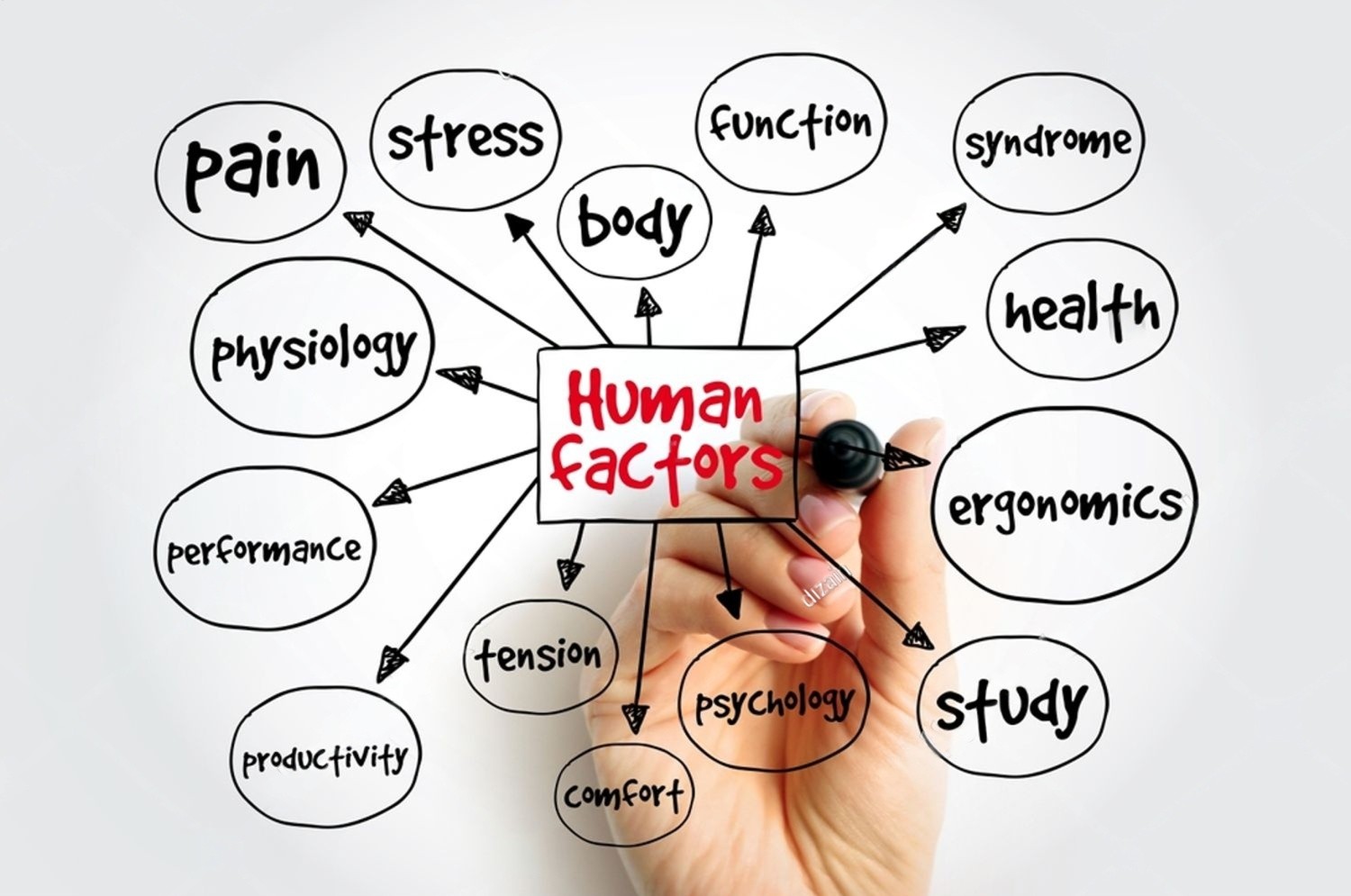 Sylvana Laham — HR Executive and Performance Coach